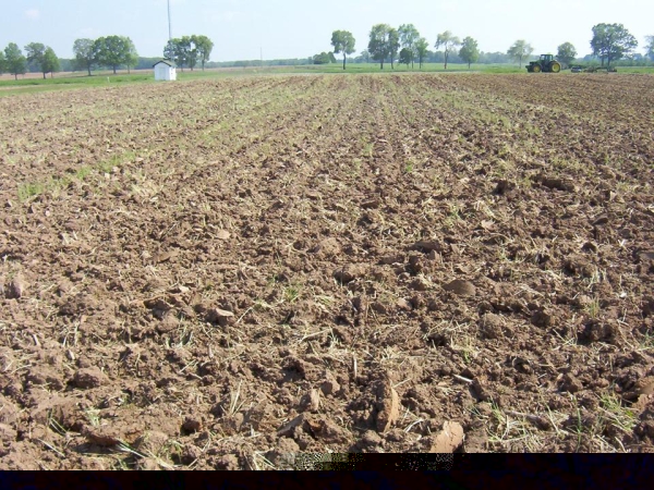 Figure 1e Tilled Field